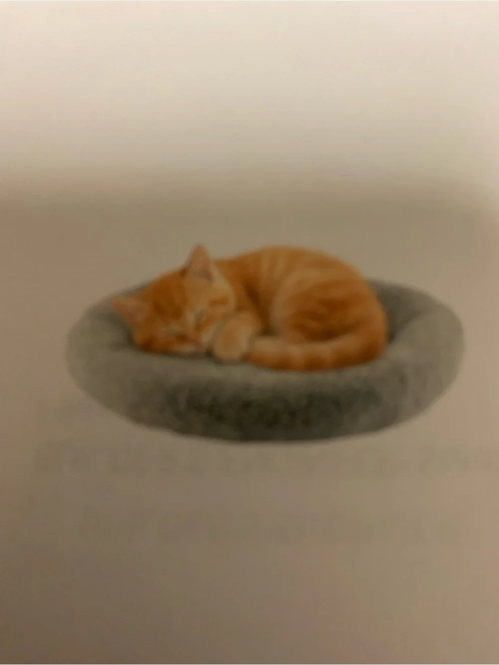 Plush Gray Round Cat Bed – Cozy Pet Lounger